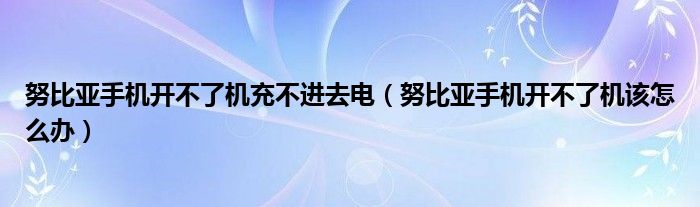 努比亚手机开不了机充不进去电（努比亚手机开不了机该怎么办）