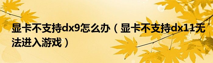 显卡不支持dx9怎么办（显卡不支持dx11无法进入游戏）