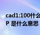 cad1:100什么意思（CAD图中的 ldquo TYP 是什么意思）