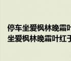 停车坐爱枫林晚霜叶红于二月花的意思是什么三年级（停车坐爱枫林晚霜叶红于二月花的意思）