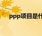 ppp项目是什么意思（ppp91 coean）