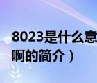 8023是什么意思啊（说一说8023是什么意思啊的简介）