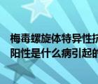 梅毒螺旋体特异性抗体阳性的意义（梅毒螺旋体特异性抗体阳性是什么病引起的）