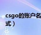 csgo的账户名称要填什么（csgo账户名称格式）