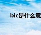 bic是什么意思中文（bic是什么意思）