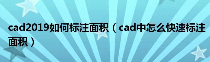 cad2019如何标注面积（cad中怎么快速标注面积）