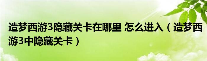 造梦西游3隐藏关卡在哪里 怎么进入（造梦西游3中隐藏关卡）