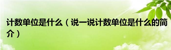 计数单位是什么（说一说计数单位是什么的简介）