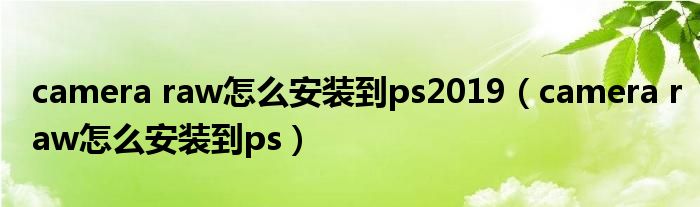 camera raw怎么安装到ps2019（camera raw怎么安装到ps）