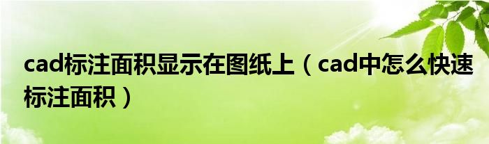 cad标注面积显示在图纸上（cad中怎么快速标注面积）