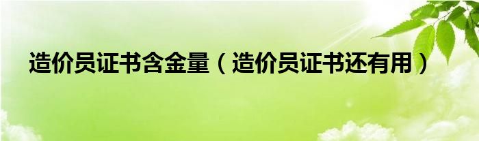 造价员证书含金量（造价员证书还有用）