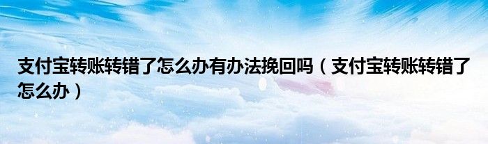 支付宝转账转错了怎么办有办法挽回吗（支付宝转账转错了怎么办）