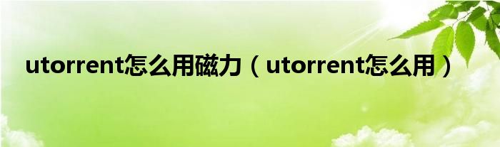 utorrent怎么用磁力（utorrent怎么用）