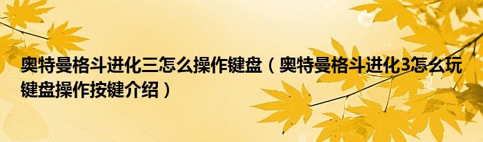 奥特曼格斗进化三怎么操作键盘（奥特曼格斗进化3怎么玩键盘操作按键介绍）