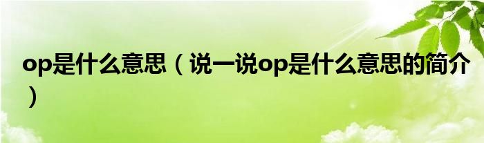 op是什么意思（说一说op是什么意思的简介）