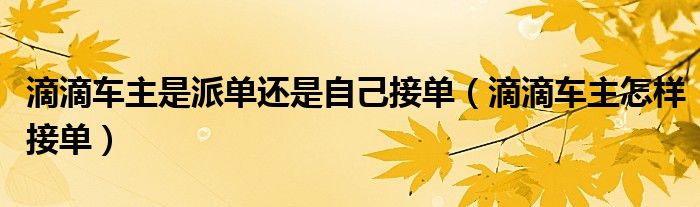 滴滴车主是派单还是自己接单（滴滴车主怎样接单）