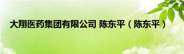 大翔医药集团有限公司 陈东平（陈东平）