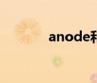 anode和cathode（anode）