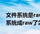 文件系统是raw无法提供驱动器（u盘的文件系统成raw了怎么办）