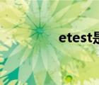 etest是什么意思（etest）