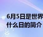 6月5日是世界什么日（说一说6月5日是世界什么日的简介）