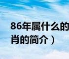 86年属什么的生肖（说一说86年属什么的生肖的简介）