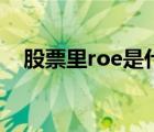 股票里roe是什么指标（roe是什么指标）