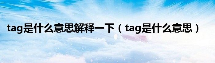 tag是什么意思解释一下（tag是什么意思）