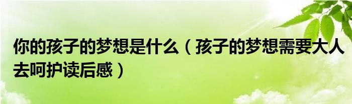 你的孩子的梦想是什么（孩子的梦想需要大人去呵护读后感）