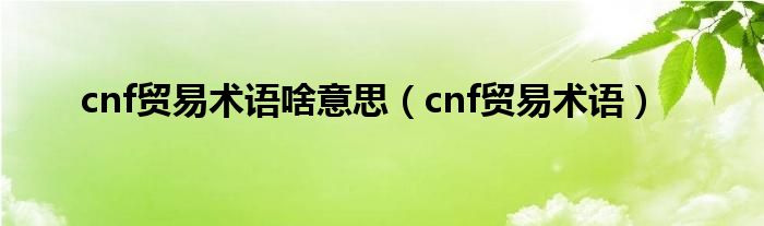 cnf贸易术语啥意思（cnf贸易术语）