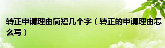 转正申请理由简短几个字（转正的申请理由怎么写）