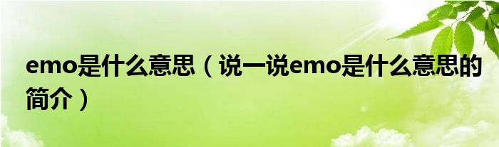 emo是什么意思（说一说emo是什么意思的简介）