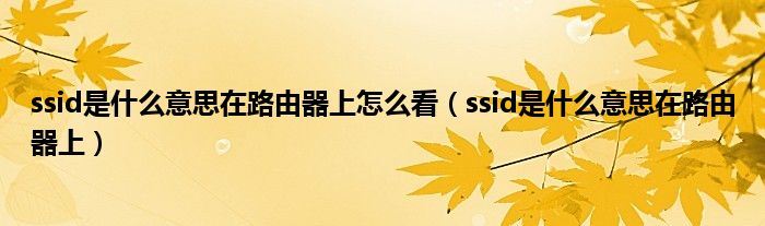 ssid是什么意思在路由器上怎么看（ssid是什么意思在路由器上）