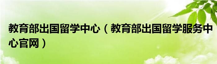 教育部出国留学中心（教育部出国留学服务中心官网）