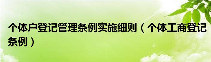 个体户登记管理条例实施细则（个体工商登记条例）