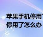 苹果手机停用了怎么办?视频教学（苹果手机停用了怎么办）