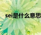 sei是什么意思网络词语（sei是什么意思）