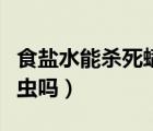 食盐水能杀死螨虫吗（浓盐水和酒精能杀死螨虫吗）