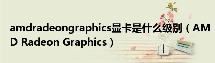 amdradeongraphics显卡是什么级别（AMD Radeon Graphics）