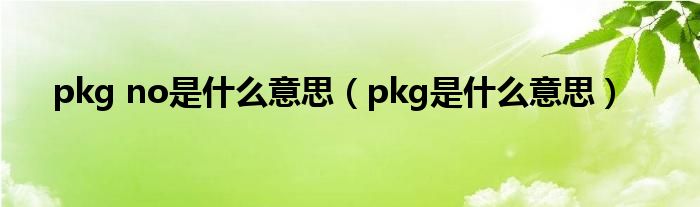 pkg no是什么意思（pkg是什么意思）