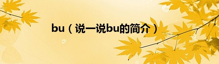 bu（说一说bu的简介）