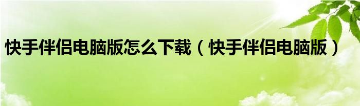 快手伴侣电脑版怎么下载（快手伴侣电脑版）