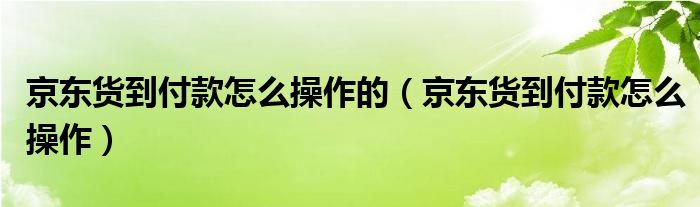 京东货到付款怎么操作的（京东货到付款怎么操作）