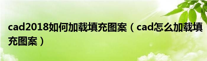 cad2018如何加载填充图案（cad怎么加载填充图案）