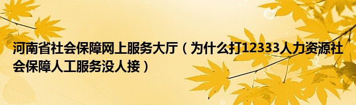 河南省社会保障网上服务大厅（为什么打12333人力资源社会保障人工服务没人接）