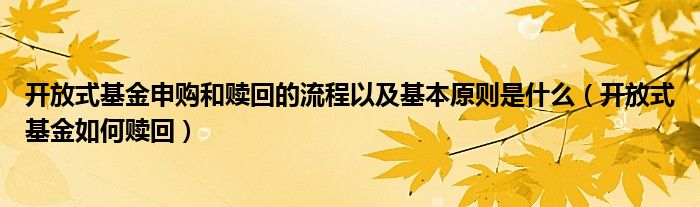 开放式基金申购和赎回的流程以及基本原则是什么（开放式基金如何赎回）