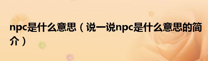 npc是什么意思（说一说npc是什么意思的简介）