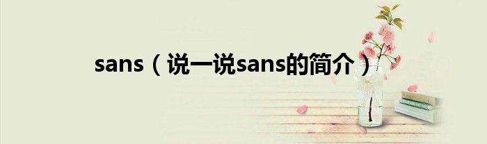 sans（说一说sans的简介）