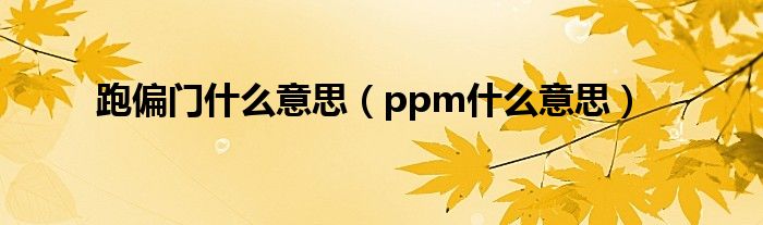 跑偏门什么意思（ppm什么意思）