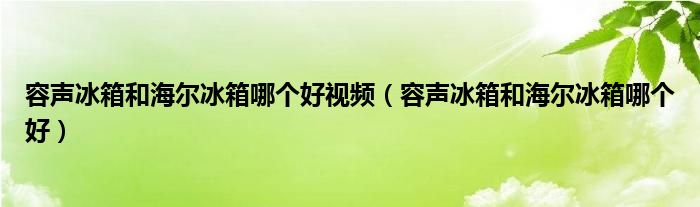 容声冰箱和海尔冰箱哪个好视频（容声冰箱和海尔冰箱哪个好）